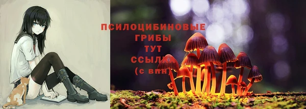 метадон Аркадак