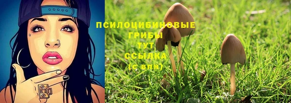 а пвп мука Арсеньев