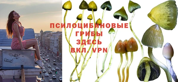 а пвп мука Арсеньев